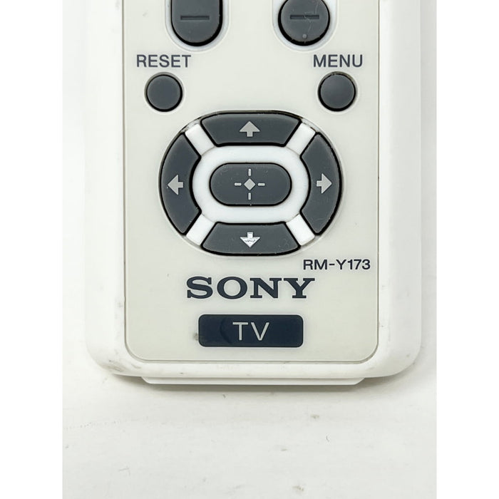 Sony RM-Y173 TV Remote Control
